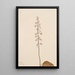 Orchis Tipularia uniflora - Mary Vaux Walcott — gerahmtes Bild an der Wand