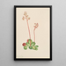Saxifrage à feuilles persistantes Leptarrhena pyrolifolia - Mary Vaux Walcott — gerahmtes Bild an der Wand