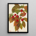 Cornouiller à fleurs Cornus florida - Mary Vaux Walcott — gerahmtes Bild an der Wand