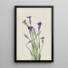 Gentiane Gentiana holopetala - Mary Vaux Walcott — gerahmtes Bild an der Wand