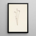 Monotrope uniflore Thalesia uniflora - Mary Vaux Walcott — gerahmtes Bild an der Wand