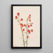 Gilia arizonica - Mary Vaux Walcott — gerahmtes Bild an der Wand