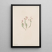 Bruyère Phyllodoce intermedia - Mary Vaux Walcott — gerahmtes Bild an der Wand