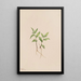 Kruhsea Kruhsea streptopoides - Mary Vaux Walcott — gerahmtes Bild an der Wand