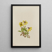 Arnica von Lake Louise Arnica Louisiana - Mary Vaux Walcott — gerahmtes Bild an der Wand