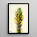 Agave lechuguilla - Mary Vaux Walcott — gerahmtes Bild an der Wand