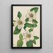 Cornouiller du Pacifique Cornus nuttallii - Mary Vaux Walcott — gerahmtes Bild an der Wand