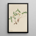 Fraisier pâle Fragaria glauca - Mary Vaux Walcott — gerahmtes Bild an der Wand