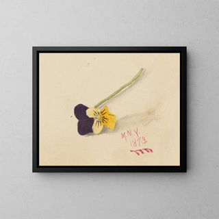 Gedanken - Mary Vaux Walcott — gerahmtes Bild an der Wand