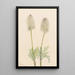 Anémone plume Pulsatilla occidentalis - Mary Vaux Walcott — gerahmtes Bild an der Wand