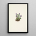 Violette des montagnes violette Viola adunca - Mary Vaux Walcott — gerahmtes Bild an der Wand