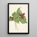 Trille rouge - Mary Vaux Walcott — gerahmtes Bild an der Wand