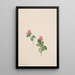 Rubus articus - Mary Vaux Walcott — gerahmtes Bild an der Wand