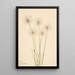 Linaigrette gracile Eriophorum chamissonis - Mary Vaux Walcott — gerahmtes Bild an der Wand