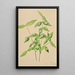 Fusain der amerikanischen Euonymus americanus - Mary Vaux Walcott — gerahmtes Bild an der Wand