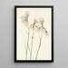 Linaigrette à feuilles étroites Eriophorum angustifolium - Mary Vaux Walcott — gerahmtes Bild an der Wand