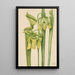 Sarracénie jaune Sarracenia flava - Mary Vaux Walcott — gerahmtes Bild an der Wand