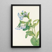Mertensia virginica - Mary Vaux Walcott — gerahmtes Bild an der Wand