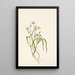 Claytonia von Virginia - Mary Vaux Walcott — gerahmtes Bild an der Wand