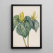 Blumen der Nachtigall - Mary Vaux Walcott — gerahmtes Bild an der Wand