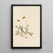 Dryade gelb Dryas drummondii - Mary Vaux Walcott — gerahmtes Bild an der Wand