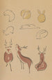 Choju ryakugashiki Pl09 - Masayoshi Kitao — Ansicht des Kunstwerks