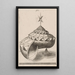 Eine Perspektive einer facettierten Schneckenhaus-Balanciert auf einer Pyramide - Mathis Zündt — gerahmtes Bild an der Wand