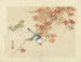 Châtaignenacken-Stare-Gemälde - Matsumura Keibun — Ansicht des Kunstwerks
