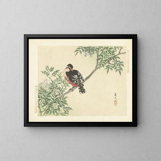 Matsumura Keibun - Chinaberry and whitebacked woodpecker.webp