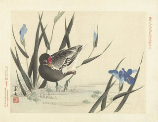 Matsumura Keibun - Japanese iris and common moorhen.webp
