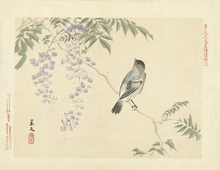 Matsumura Keibun - Japanese wisteria and Eurasian bullfinch.webp