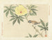 Hibiskus bei Sonnenuntergang und Wiesenpieper - Matsumura Keibun — Ansicht des Kunstwerks