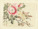 Pfingstrosenbaum und Kanarienvogel - Matsumura Keibun — Ansicht des Kunstwerks