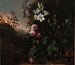 Natur stillleben - Matthias Withoos — Ansicht des Kunstwerks