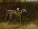 Zwei Bedlington Terrier - Maud Earl — Ansicht des Kunstwerks