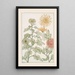 Chrysantheme - Maurice Pillard Verneuil — gerahmtes Bild an der Wand