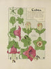 Cobée - Maurice Pillard Verneuil — Ansicht des Kunstwerks