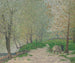Frühling in Champigny-sur-Marne - Maxime Maufra — Ansicht des Kunstwerks