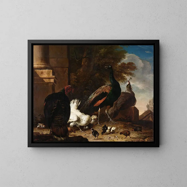 eines Huhns mit Pfauen und Truthahn - Melchior d'Hondecoeter — gerahmtes Bild an der Wand