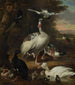 Vögel - Melchior d'Hondecoeter — Ansicht des Kunstwerks