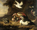 Enten - Melchior d'Hondecoeter — Ansicht des Kunstwerks