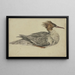 Ente liegend mit brauner Haube, rotem Schnabel und Federn - Melchior d'Hondecoeter — gerahmtes Bild an der Wand