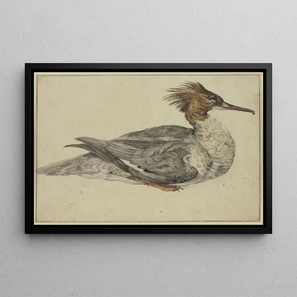 Melchior dHondecoeter - Liegende Ente mit brauner Haube rotem Schnabel und Fen.webp