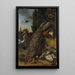 Pfauen - Melchior d'Hondecoeter — gerahmtes Bild an der Wand