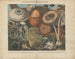 Atlas der verdächtigen und giftigen essbaren Pilz-Gemälde Pl02 - Michel Étienne Descourtilz — Ansicht des Kunstwerks