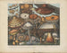 Atlas der verdächtigen und giftigen essbaren Pilze Gemälde Pl10 - Michel Étienne Descourtilz — Ansicht des Kunstwerks