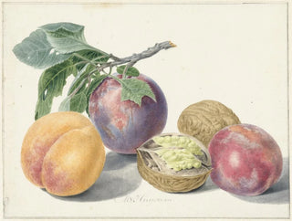 Stillleben mit Früchten - Michiel van Huysum — Ansicht des Kunstwerks
