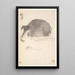 Elefant, Pferd und Hase - Min Zhen — gerahmtes Bild an der Wand