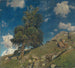 Monte Rosa und Lärchen - Eugen Bracht — Ansicht des Kunstwerks