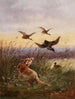 Ein Fuchs, der Enten jagt - Moritz Müller — Ansicht des Kunstwerks